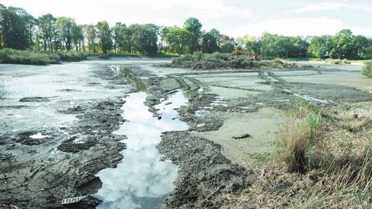 "Odkąd sięgam pamięcią, w parku zawsze była wyspa". Ale po remoncie już jej nie będzie