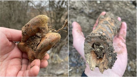 Odkrycie na budowie ścieżki na górkach czechowskich. Radni sądzą, że to ludzkie kości