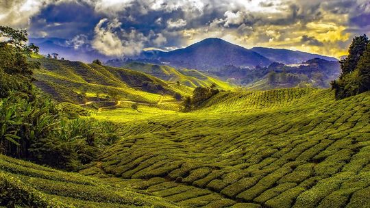 Odkryj Azję Południowo-Wschodnią! Twój przewodnik po Singapurze i Malezji