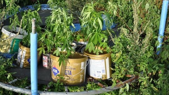 Odlotowa trampolina nastolatki z gminy Wilków