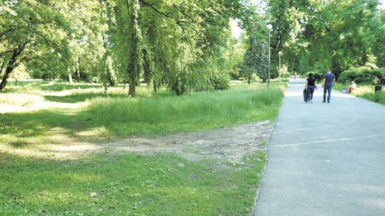 Odnowa Parku Ludowego droższa niż zakładało miasto. Najtańsza oferta za 34 mln zł