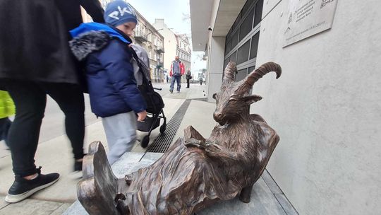 Odpoczywający Maciej dołączył do koziołkowej rodziny