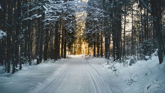 Odśnieżarki elektryczne - jak wybrać i efektywnie wykorzystać ten sprzęt zimą