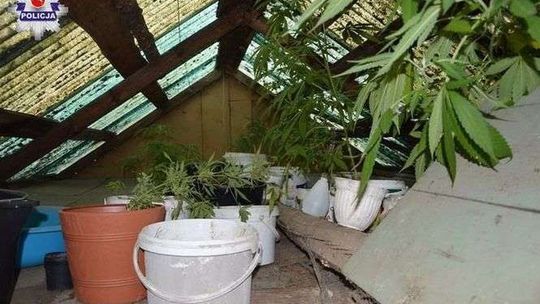 Odwiedziła opuszczoną altankę zmarłego ojca. Zaskakujące znalezisko