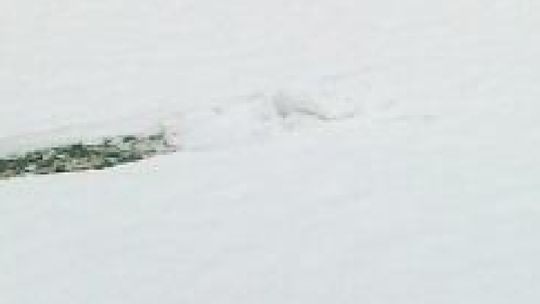 Odwołano cztery mecze w zamojskiej okręgówce