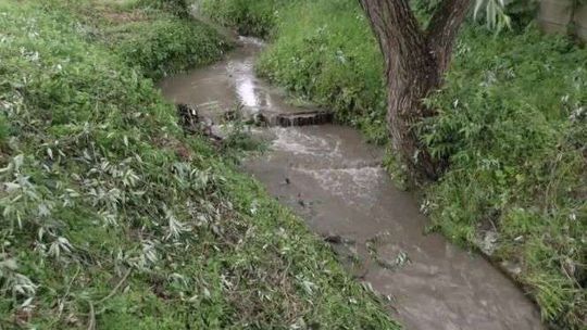 Ofiara nawałnicy w Elblągu. 61-letnia kobieta wpadła do rzeki i porwał ją silny nurt