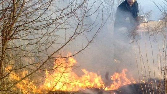 Ofiara wypalania traw. Zginęła 69-latka