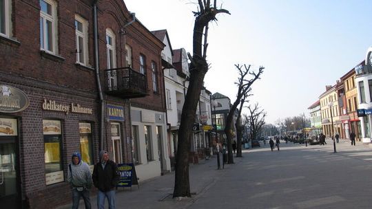 Ogołocone drzewa w centrum Chełma. Urzędnicy: To zabiegi pielęgnacyjne