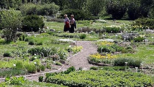 Ogród Botaniczny  niszczeje w oczach (list)