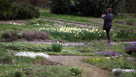 Ogród Botaniczny w Lublinie: ceny i godziny otwarcia