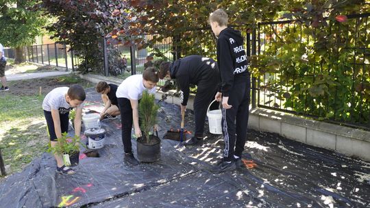 Ogród dla zmysłów przy zamojskiej podstawówce. Nacieszy oko, nos i ucho [zdjęcia]