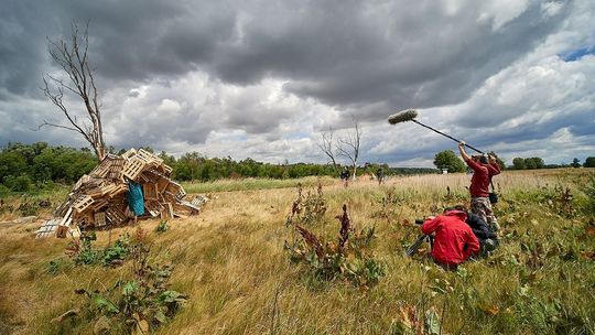 Ogród pełen landartów czyli wrzucanie sztuki do wnętrza naturalnego środowiska