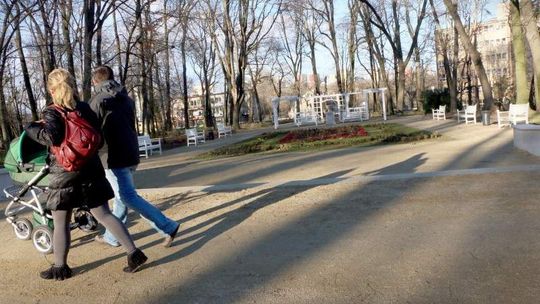 Ogród Saski. Alejki po nowemu przeszkadzają radnemu