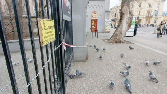Ogród Saski będzie miał monitoring za 700 tys. zł