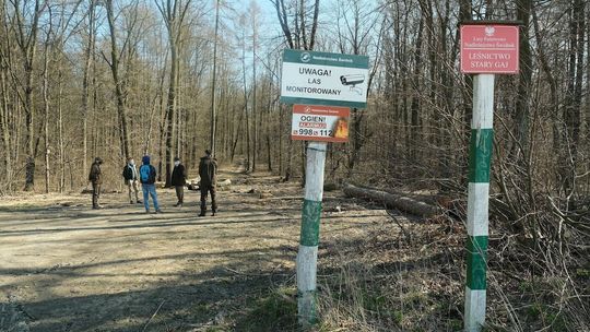 Ogród Saski i Stary Gaj. Miasto ma lepiej chronić cenne miejsca