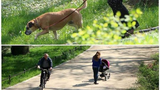 Ogród Saski: Jest regulamin. I co z tego?