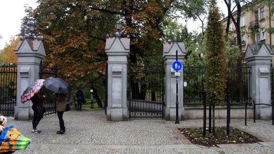 Ogród Saski: Rośnie następca topoli