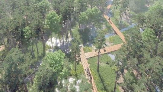 Ogród w lesie. Nowe atrakcje w lasach janowskich (zdjęcia)