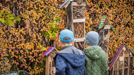 Ogród Zmysłów i Spotkań na lubelskich Czubach. Nowa przestrzeń do odpoczynku i integracji