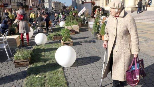 Ogródek przed Ratuszem. "Pierwszy krok w miasto naszych marzeń"