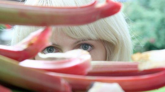 Ogrodowy smak Lubelszczyzny: Wiosenne smakołyki (przepisy)