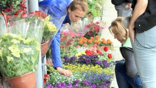 Ogrodowy zawrót głowy. Raj dla miłośników kwiatów w Końskowoli
