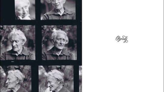 Ogrody Albiczuka. Tym razem w albumie 