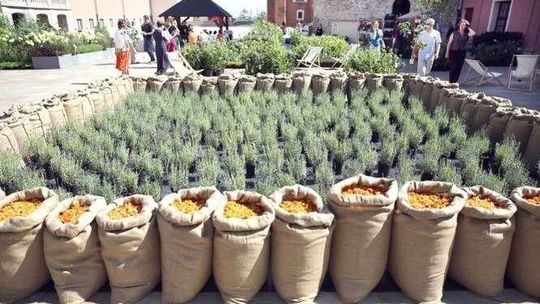 Ogrody Zamkowe czekają. Dzisiaj rusza Europejski Festiwal Smaku