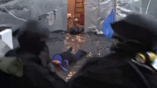 Ogromna plantacja marihuany w byłej przetwórni owoców. Strzały podczas nalotu policji (wideo)