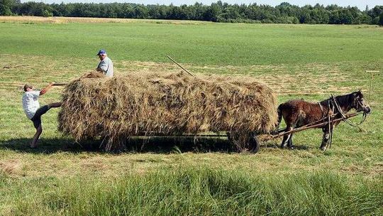 Ogromne straty lubelskich rolników. \"Ogłoście klęskę żywiołową\"