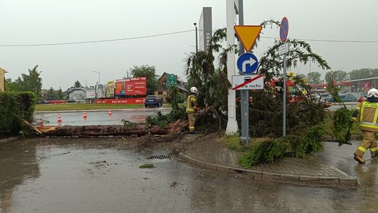 Ogromne zniszczenia po silnych burzach. Ponad 300 interwencji w regionie