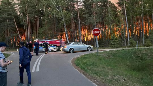 Ogromny pożar lasu w biłgorajskim. Z żywiołem walczy ponad 200 strażaków
