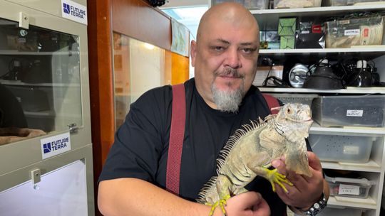 Oko w oko z Ropniakiem