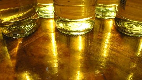 Okuninka: Poimprezowała nad jeziorem. Matka 5-latka odpowie przed sądem