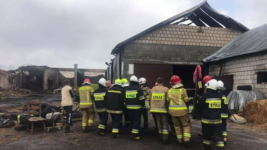 Olbrzymi pożar koło Łukowa od uderzenia pioruna. Zostały tylko zgliszcza