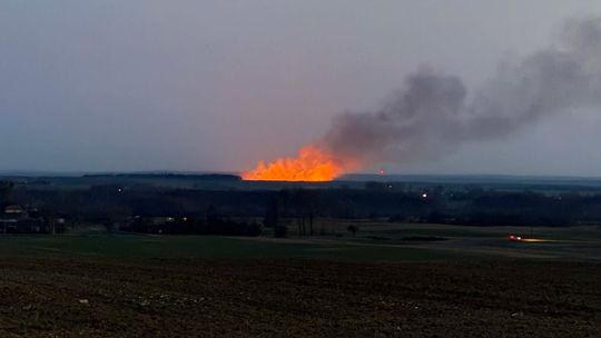 Olbrzymi pożar traw
