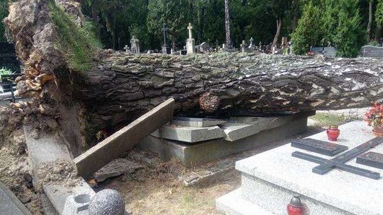 Olbrzymie zniszczenia na cmentarzu przy ulicy Lipowej. To efekt nawałnicy