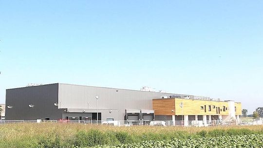 Olchowiec: Polskie Jagody z sortownią za 9 mln zł