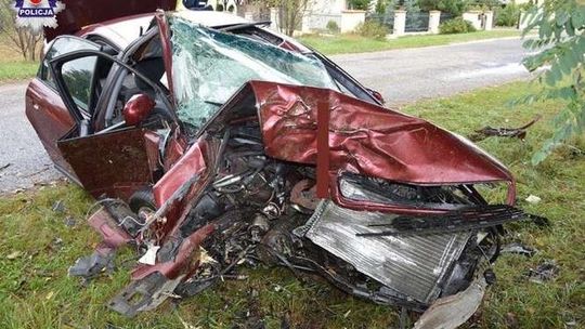 Omijała jeża, uderzyła w drzewo i dachowała (zdjęcia)