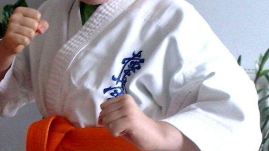 One Life Festival: Zagrają dla 8-letniego wojownika