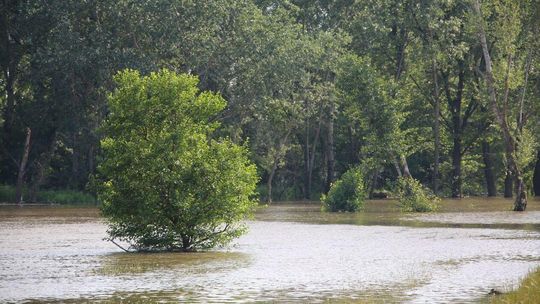 Opada poziom wody w Wiśle, ale sytuacja wciąż jest jeszcze groźna