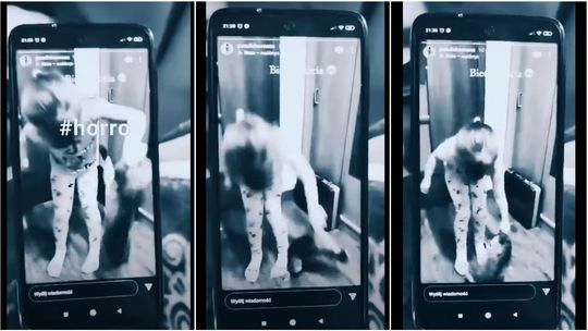 Opiekunka z piekła rodem. 22-latka zachęcała pięciolatkę do katowania kota