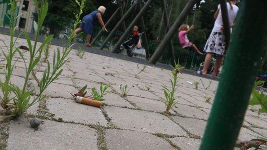 Opiekunki małych dzieci narzekają na bałagan na placu Lecha Kaczyńskiego