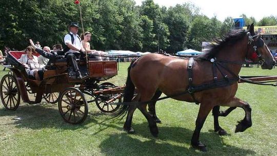 Opole Lubelskie: Będą nowe alejki, plac zabaw, siłownia