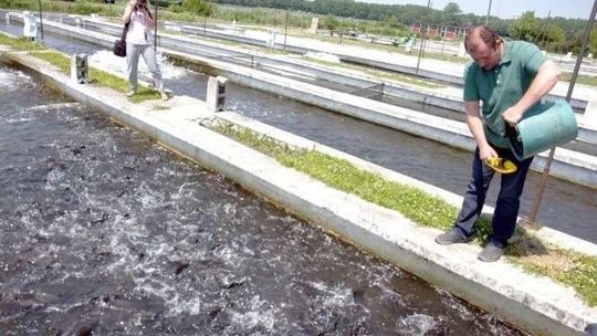 Opole Lubelskie chce stworzyć swoją markę