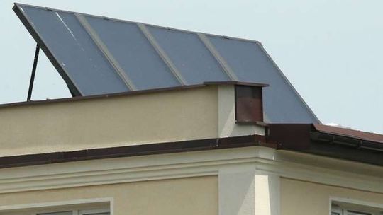 Opole Lubelskie: Pestki ogrzeją mieszkania? "Mamy dużo terenów sadowniczych"