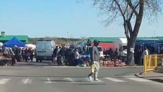 Opole Lubelskie: Tłumy ludzi na targowisku. "Nie byliśmy przygotowani na tak dużą liczbę osób" [wideo]