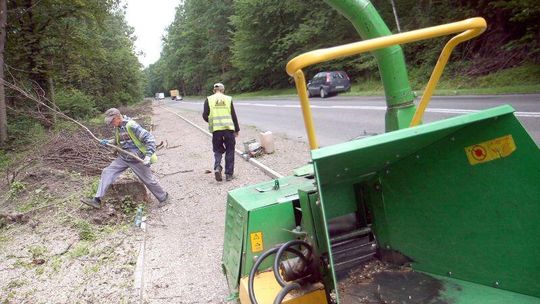 Opóźni się budowa nowej trasy rowerowej w lesie Dąbrowa