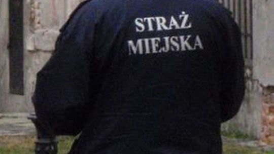 Opozycji nie udało się zlikwidować Straży Miejskiej w Łęcznej