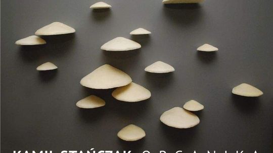 "Organika" Kamila Stańczaka w Galerii Białej